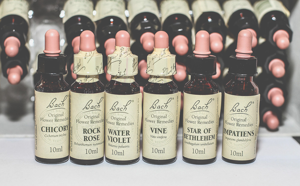 bach-flowers-1472825_1920_2.jpg